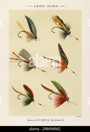 Illustration vintage de crochets de pêche à la mouche : crochets de mouche barbelés assortis avec différentes tailles et oeillets pour des motifs de mouche artificiels dans la pêche à la mouche. Env. Banque D'Images