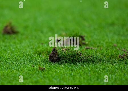 Rotterdam, pays-Bas. 27 août 2023. Rotterdam - Polletje lors du match d'Eredivisie entre Feyenoord et Almere City au Stadion Feijenoord de Kuip le 27 août 2023 à Rotterdam, aux pays-Bas. Crédit : photos boîte à boîte/Alamy Live News Banque D'Images