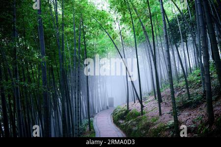 La photo prise le 6 juin 2014 montre le paysage dans le site pittoresque de la mer de bambou à Yibin, dans la province du Sichuan du sud-ouest de la Chine. La mer de bambou, qui est de 600-1,002 mètres au-dessus du niveau de la mer, est bien connue pour ses forêts de bambous et sa belle vue. (Xinhua/Huang Xiao) (lfj) CHINA-SICHUAN-YIBIN-BAMBOO SEA (CN) PUBLICATIONxNOTxINxCHN Banque D'Images