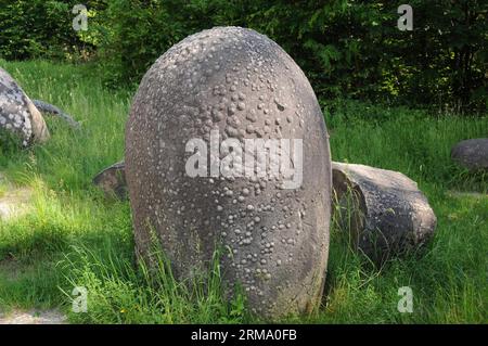 La photo prise le 7 juin 2014 montre Trovanti , une sorte de pierres uniques qui peuvent devenir plus grandes, au Musée Trovants en plein air dans le village des Carpates de Costesti, comté de Valcea, Roumanie. (Xinhua/Lin Huifen) ROUMANIE-COSTESTI- TROVANTI PUBLICATIONxNOTxINxCHN photo prise LE 7 2014 juin montre un enfant de pierres uniques Thatcher peut grandir AU Musée en plein air dans le village des Carpates du comté de Valcea Roumanie XINHUA Lin Huifen Roumanie PUBLICATIONxNOTxINxCHN Banque D'Images