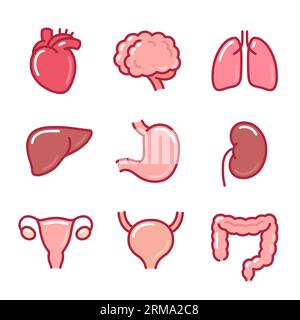 Jeu d'icônes de dessin animé d'organes internes humains. Illustration de doodle dessinée à la main avec des lignes de couleur. Dessin d'art vectoriel isolé. Illustration de Vecteur