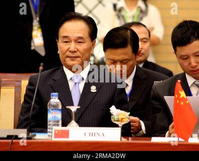 (140612) -- NAY PYI TAW, 12 juin 2014 (Xinhua) -- le ministre chinois de l'information du Conseil d'État, Cai Mingzhao, participe à la session plénière des médias sociaux responsables pour une communauté pacifique et prospère lors de la troisième conférence de l'ASEAN plus trois ministres responsables de l'information (3e AMRI+3) à Nay Pyi Taw, Myanmar, le 12 juin 2014. Le gouvernement chinois attache une grande importance à l'échange et à la coopération entre l'ASEAN et les médias de trois pays partenaires du dialogue - la Chine, le Japon et la République de Corée (ROK), ministre chinois de l'information du Conseil d'État Cai min Banque D'Images