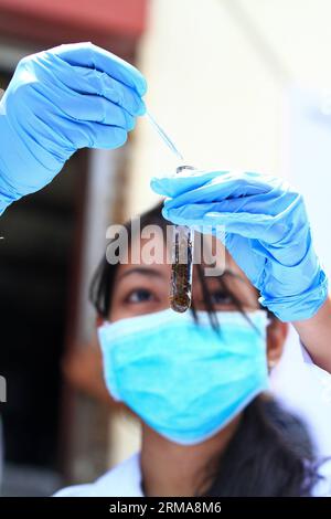 (140625) -- PROVINCE DE CAVITE, 25 juin 2014 (Xinhua) -- Un chimiste teste un échantillon de shabu confisqué par l'Agence philippine de lutte contre la drogue (PDEA) dans la province de Cavite, aux Philippines, le 25 juin 2014. La PDEA a détruit des drogues illégales confisquées d'une valeur de plus de 14,8 millions de dollars américains, composées de shabu, cocaïne, marijuana et autres médicaments périmés. (Xinhua/Rouelle Umali) PHILIPPINES-PROVINCE DE CAVITE-DROGUES ILLÉGALES PUBLICATIONxNOTxINxCHN province de Cavite juin 25 2014 XINHUA un chimiste teste un échantillon de drogues confisquées par l'Agence philippine de lutte contre la drogue PDEA dans la province de Cavite le Phili Banque D'Images