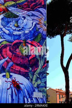 (140715) -- ROME, 15 juillet 2014 (Xinhua) -- une photo prise le 15 juillet montre la fresque murale créée par le muraliste espagnol Liqen dans la communauté de San Basilio à Rome, en Italie. Rome, la capitale italienne, a lancé un projet visant à transformer la ville en centre des arts de la rue. Le muraliste de rue espagnol Liqen et le muraliste de rue italien Agostino Iacurci ont terminé des peintures murales sur quatre façades de la communauté de San Basilio à la périphérie orientale de Rome. D'autres quartiers de Rome seront décorés à l'avenir. (Xinhua/Xu Nizhi) (djj) ITALIE-ROME-STREET ART-MURAL PUBLICATIONxNOTxINxCHN Rome juillet 15 2014 XINHUA photo prise LE 15 juillet SH Banque D'Images