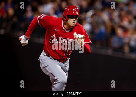 Los Angeles Angels second baseman Brandon Drury (23) stands in the dugout  before a baseball game against the Seattle Mariners in Anaheim, Calif.,  Saturday, Aug. 5, 2023. (AP Photo/Ashley Landis Stock Photo - Alamy