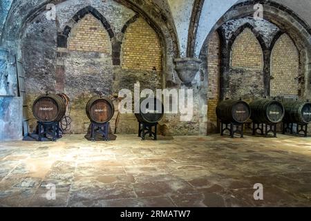 Eberbach, Allemagne - 24 août 2023 : ancienne maison de vinification et de presse à Eberbach. L'Abbaye est un ancien monastère cistercien près d'Eltville am Rhein en t Banque D'Images