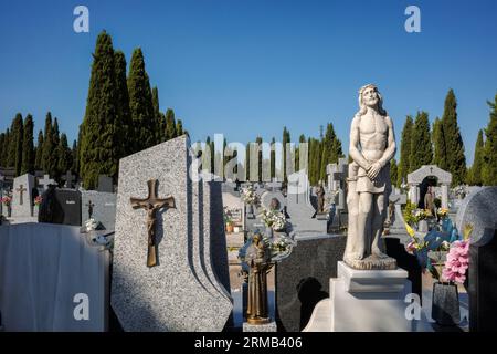 Tombes, panthéons et cyprès dans les cours romantiques du cimetière, ville de Guadalajara, construction déclarée site du patrimoine. Espagne Banque D'Images