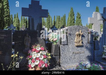 Tombes, panthéons et cyprès dans les cours romantiques du cimetière, ville de Guadalajara, construction déclarée site du patrimoine. Espagne Banque D'Images