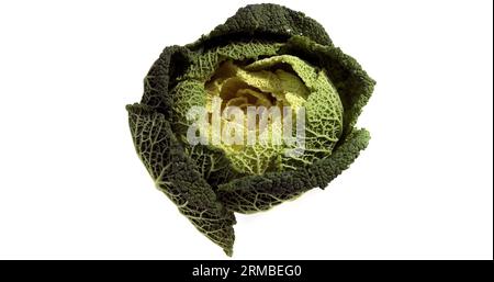 Chou vert nain, Brassica oleracea, légumes contre fond blanc Banque D'Images
