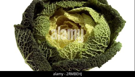 Chou vert nain, Brassica oleracea, légumes contre fond blanc Banque D'Images