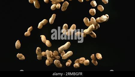 Arachides, arachis hypogaea, fruits tombant sur fond noir Banque D'Images