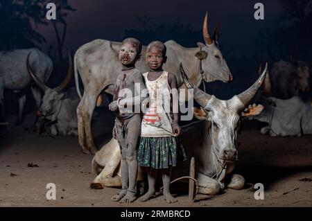 Enfants Mundari avec des vaches dans le camp de Mundari la nuit Banque D'Images