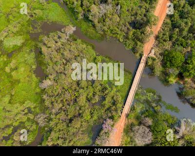 Pont sur une rivière traversant la végétation épaisse, la forêt et les prairies inondées du célèbre Pantanal, la plus grande zone humide d'eau douce du monde Banque D'Images