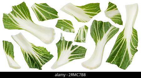 Bok Choy ou Pak Choi feuilles isolées sur fond blanc Banque D'Images