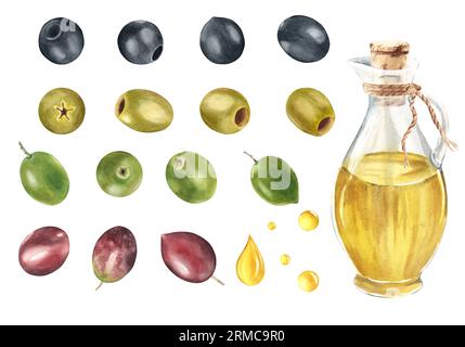 Olives vertes, noires, rouges, huile d'olive dans un pichet en verre et gouttes d'huile ensemble isolé sur fond blanc. Aquarelle illustration botanique dessinée à la main. Peut être Banque D'Images