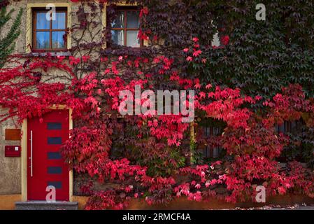 Trottoir le long des maisons et des voitures garées dans une zone urbaine avec des maisons privées de faible hauteur. Suburban House parmi les arbres d'automne. Grande pelouse bien entretenue et Banque D'Images