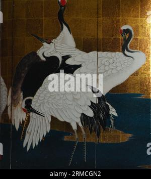 APPAREIL PHOTO NUMÉRIQUE OLYMPUS Banque D'Images