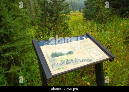 Tableau d'interprétation du camp de Glad Creek, forêt nationale de Clearwater, sentier historique national Lewis et Clark, route panoramique Northwest passage, Idaho Banque D'Images