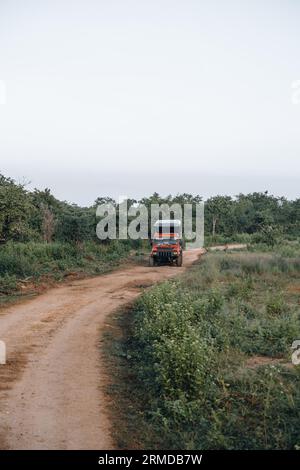 Route de terre pendant le safari dans le parc national d'Udawalawa Banque D'Images