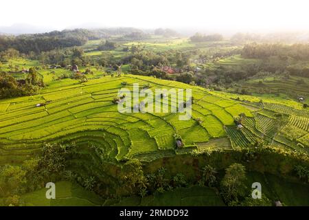 Vue aérienne du lever du soleil des rizières vertes près de Sidemen à Bali, Indonésie Banque D'Images