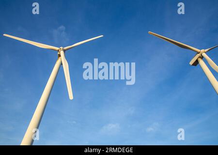 Duo d'éoliennes filmées d'en bas Banque D'Images