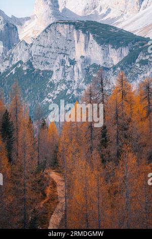 Photo aérienne d'automne Auronzo route à Tre cime, Cortina d Ampezzo Dolomites Italie Banque D'Images