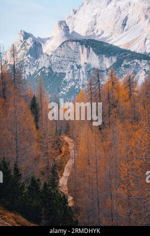 Photo aérienne d'automne Auronzo route à Tre cime, Cortina d Ampezzo Dolomites Italie Banque D'Images