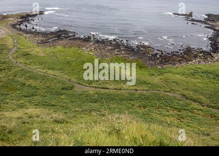 Port Noffer, Causeway Coastal Path, County Antrim, Irlande du Nord, Royaume-Uni Banque D'Images