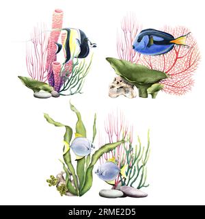 Un ensemble de compositions sous-marines de récifs coralliens avec des coraux et des poissons. Illustrations à l'aquarelle pour clipart, emballages d'étiquettes Banque D'Images