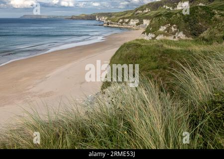 White Rocks falaise path, Portstewart Strand, (plage), Portstewart, Comté de Londonderry, Irlande du Nord, Royaume-Uni Banque D'Images