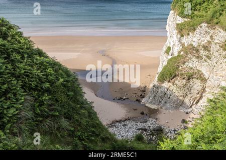 White Rocks falaise path, Portstewart Strand, (plage), Portstewart, Comté de Londonderry, Irlande du Nord, Royaume-Uni Banque D'Images