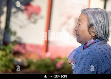 Vue latérale d'une femme âgée se relaxant parmi les rosiers. Banque D'Images