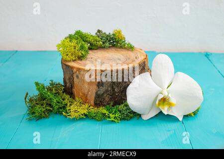 bûche d'arbre avec lichen de mousse et une fleur d'orchidée blanche sur une table de planches en bois bleu, toile de fond pour le placement de produits biologiques Banque D'Images