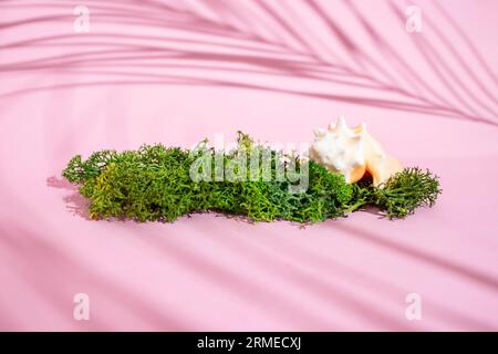 Coquille de mer avec mousse de lichen verte sur fond rose avec ombres de feuilles de palmier, modèle pour le produit Banque D'Images