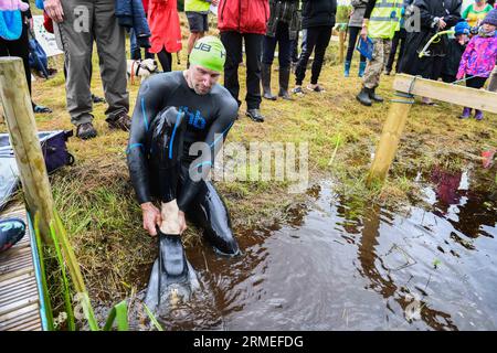 Dimanche 27 août 2023, Llanwrtyd Wells, Mid Wales les Championnats du monde annuels de snorkelling à Llanwrtyd Wells dans le Mid Wales, qui voit les participants essayer de fixer le meilleur temps le long de la tourbière Waen Rhydd à la périphérie de la ville. Banque D'Images