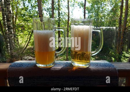 Deux grands verres hauts avec de la bière fraîche sur le fond de la nature vue de face en gros plan Banque D'Images