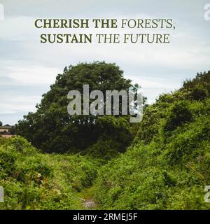 Composite de chérir les forêts, soutenir le texte futur et les plantes vertes luxuriantes poussant sur la colline Banque D'Images