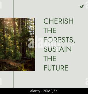 Composite de chérir les forêts, soutenir le futur texte, vue idyllique des arbres poussant dans la forêt. Copier l'espace, la nature, la sensibilisation, la protection et envi Banque D'Images