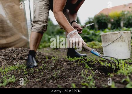 Vierkirchen, Deutschland. 18 août 2023. Image symbolique sur le thème du jardinage : une femme désherbe un lit dans un jardin à Vierkirchen, 18 août 2023. Crédit : dpa/Alamy Live News Banque D'Images