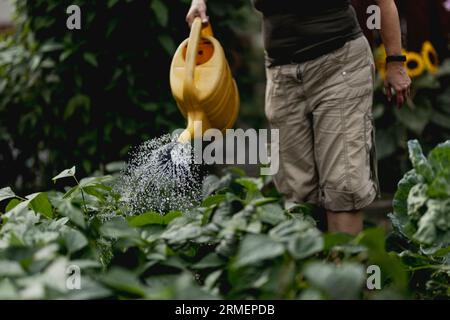 Vierkirchen, Deutschland. 18 août 2023. Image symbolique sur le thème du jardinage : une femme arrose les plantes avec un arrosoir dans le jardin de Vierkirchen, le 18 août 2023. Crédit : dpa/Alamy Live News Banque D'Images