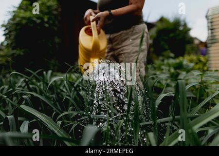 Vierkirchen, Deutschland. 18 août 2023. Image symbolique sur le thème du jardinage : une femme arrose les plantes avec un arrosoir dans le jardin de Vierkirchen, le 18 août 2023. Crédit : dpa/Alamy Live News Banque D'Images