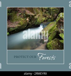 Composite de protéger nos forêts texte et longue exposition de rivière coulant à travers les roches dans les bois Banque D'Images