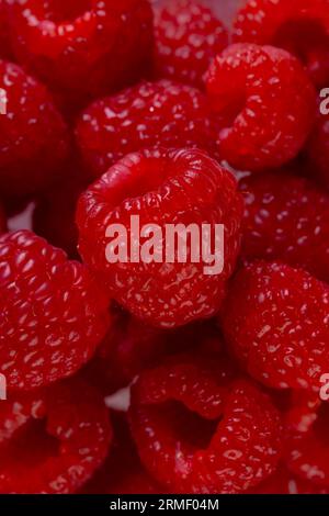 Micro gros plan de framboises avec espace de copie Banque D'Images