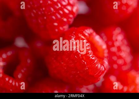 Micro gros plan de framboises avec espace de copie Banque D'Images