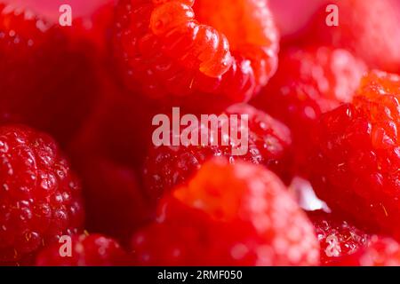 Micro gros plan de framboises avec espace de copie Banque D'Images