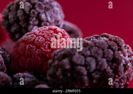 Micro gros plan de framboises congelées avec espace de copie sur fond rouge Banque D'Images
