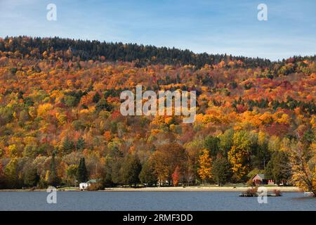 Lac Elmore à l'automne, Elmore, Vermont, États-Unis Banque D'Images