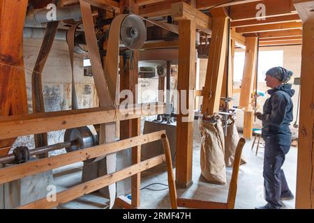 Femme dans le moulin à farine vérifiant les machines de travail Banque D'Images