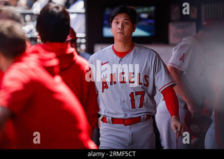 27 août 2023 ; New York City, New York ; Los Angeles Angels DH Shohei Ohtani (17) dans la dugout contre les mets de New York. Les mets ont vaincu les Anges 3-2. (Ariel Fox/image du sport) Banque D'Images