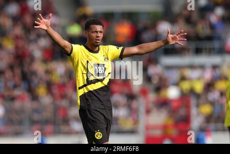 Erfurt, Deutschland. 22 juillet 2023. Firo : 07/22/2023, football, football, 1e division, 1e Bundesliga, saison 2023/2024, test match, Rot-Weiss Erfurt - BVB, Borussia Dortmund Felix NMECHA, BVB Gesture Credit : dpa/Alamy Live News Banque D'Images